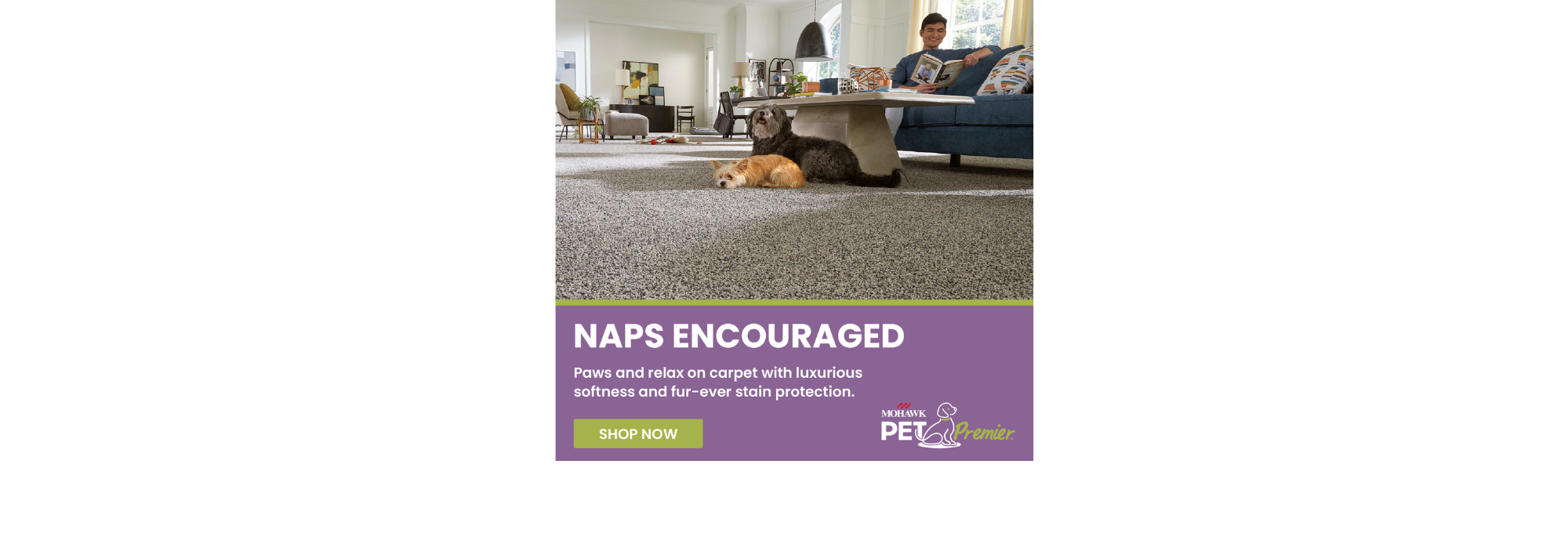 PETPremier Flooring Ad featuring two dogs in a living room with pet friendly carpet